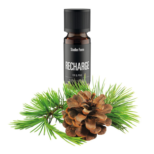 RECHARGE essential oil – Pine & Fir | StadlerForm