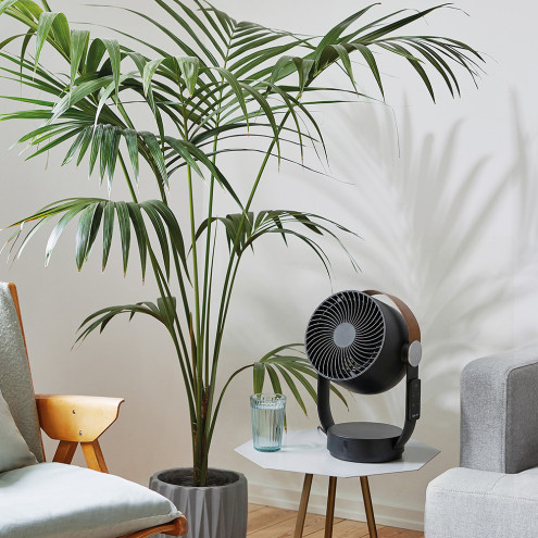 LEO Noir – Ventilateur Oscillant Silencieux et Puissant pour un Air Frais| Stadler Form