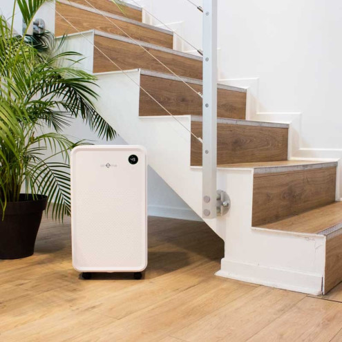 Compressor dehumidifier LARY | air&me