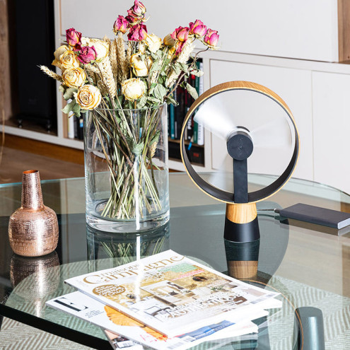 AIRAIN Wood table & desk fan | air&me