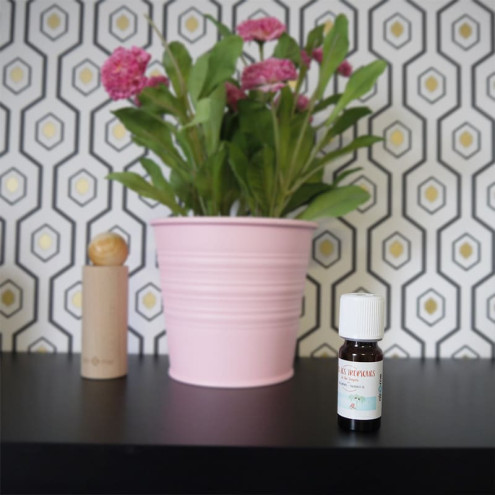 Huile parfumée Sous les tropiques - 10 mL | air&me