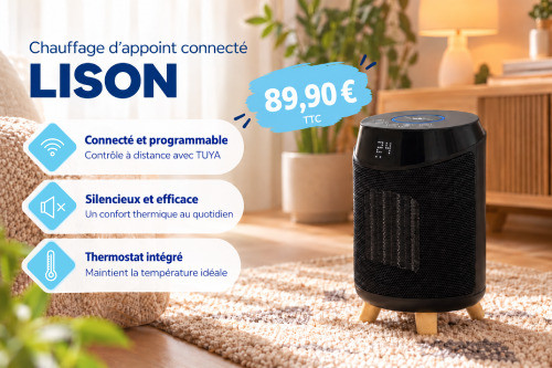 Lison